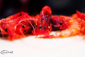 /wp-content/gallery/01-1/PESCA XXI (11).jpg