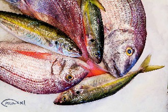 /wp-content/gallery/01-1/PESCA XXI (46).jpg