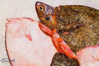 /wp-content/gallery/01-1/PESCA XXI (51).jpg