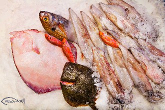 /wp-content/gallery/01-1/PESCA XXI (52).jpg
