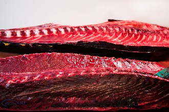 /wp-content/gallery/01-1/PESCA XXI (76).jpg