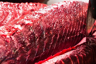 /wp-content/gallery/01-1/PESCA XXI (79).jpg