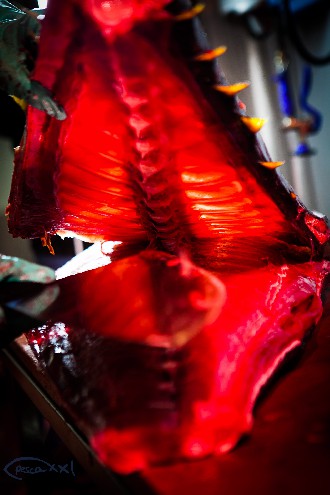 /wp-content/gallery/01-1/PESCA XXI (90).jpg