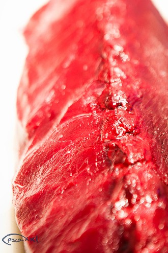 /wp-content/gallery/01-1/PESCA XXI (92).jpg